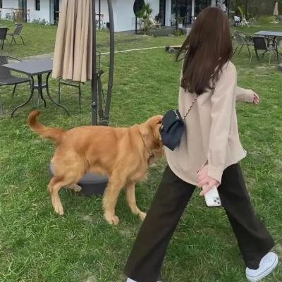 创造约翰·德罗宁